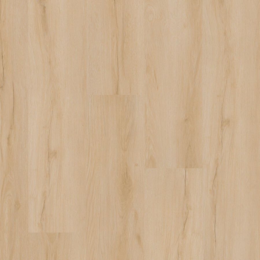 MSI - Nove Plus Collection - Fallonton - 9" x 48"