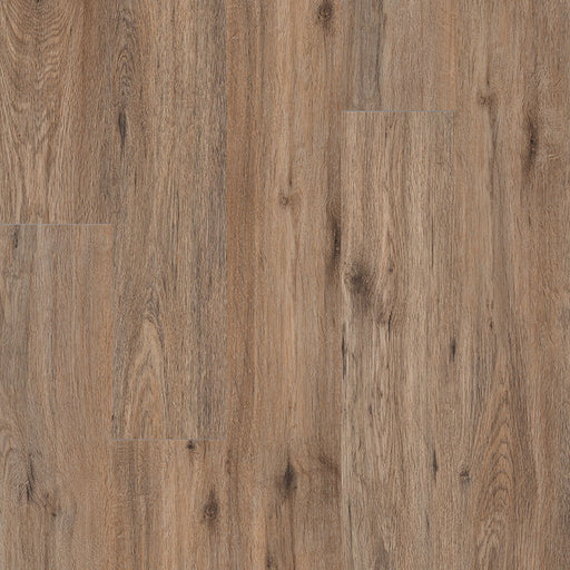 MSI Surfaces - Cyrus® 2.0TM - Fauna