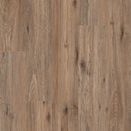 MSI Surfaces - Cyrus® 2.0TM - Fauna