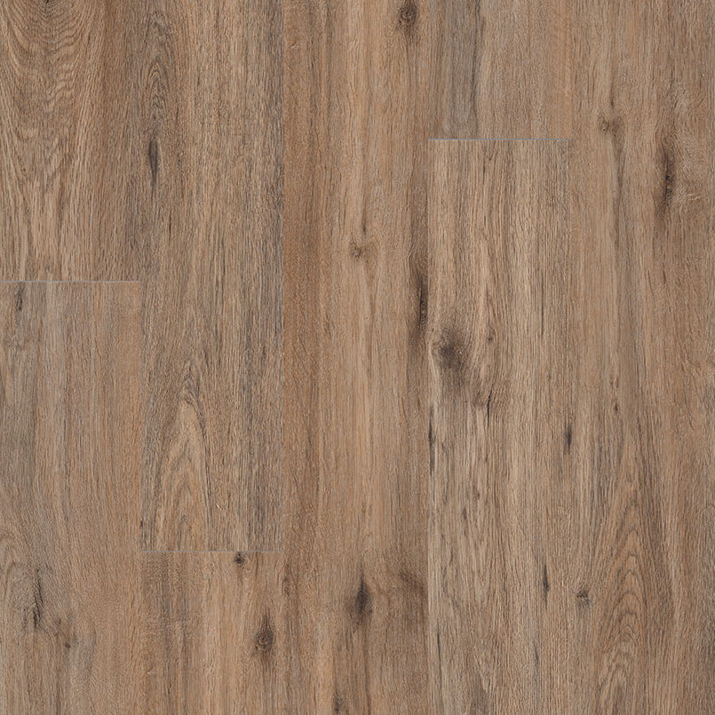 MSI Surfaces - Cyrus® 2.0TM - Fauna