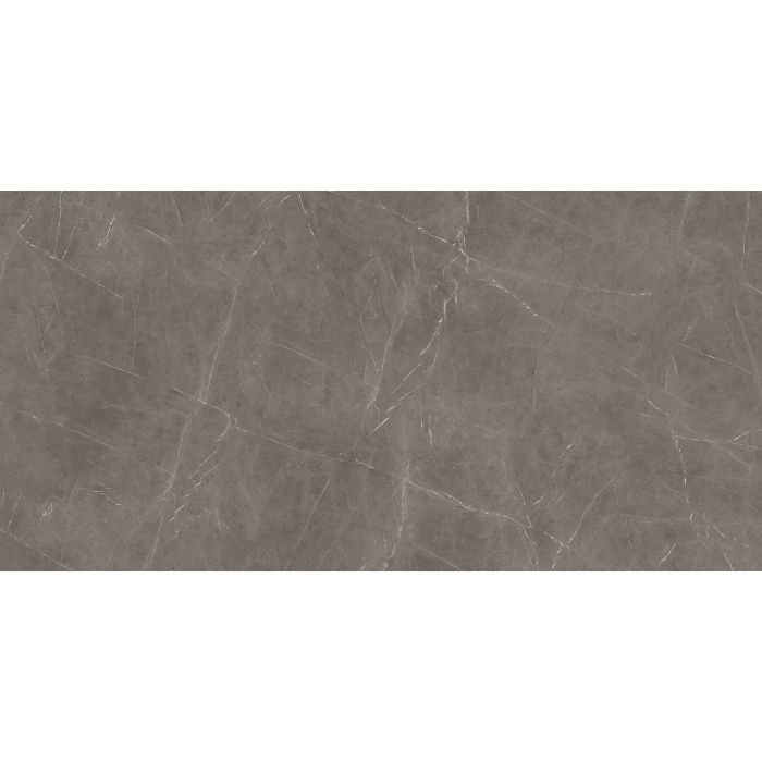 OLYMPIA TILE + STONE - Marmi  Europa Series - Porcelain Tile - Grey Stone - 24" x 48"