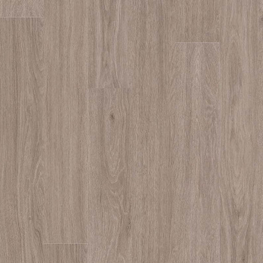 MSI Surfaces - Glenridge - Bleached Elm