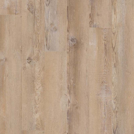 MSI Surfaces - Glenridge - Lime Washed Oak