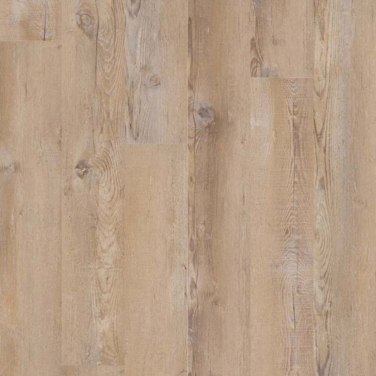 MSI Surfaces - Glenridge - Lime Washed Oak