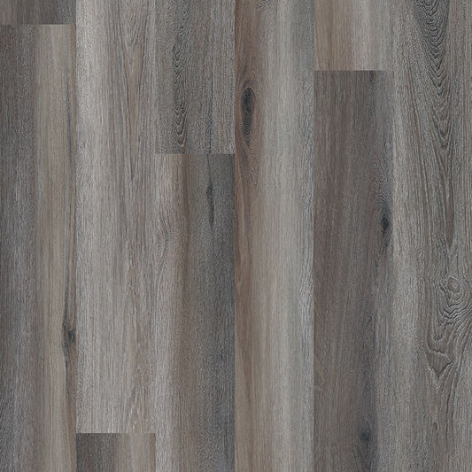 MSI Surfaces - Glenridge - Midnight Maple