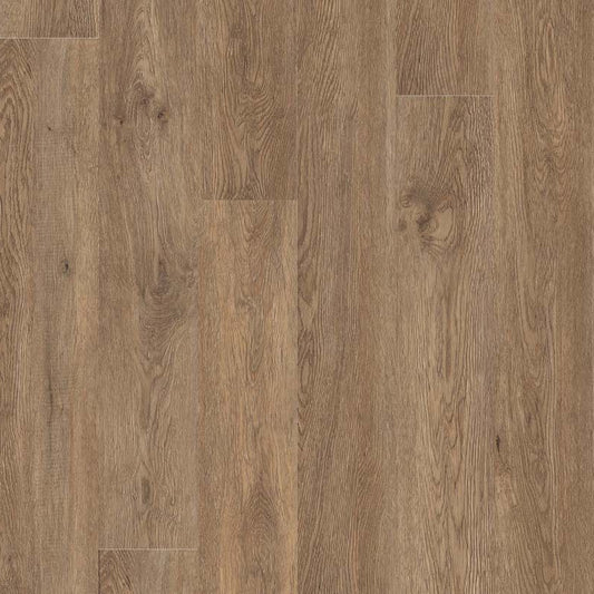 MSI Surfaces - Glenridge - Saddle Oak