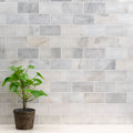 MSI - GREECIAN WHITE - Tile - 3" x 6"