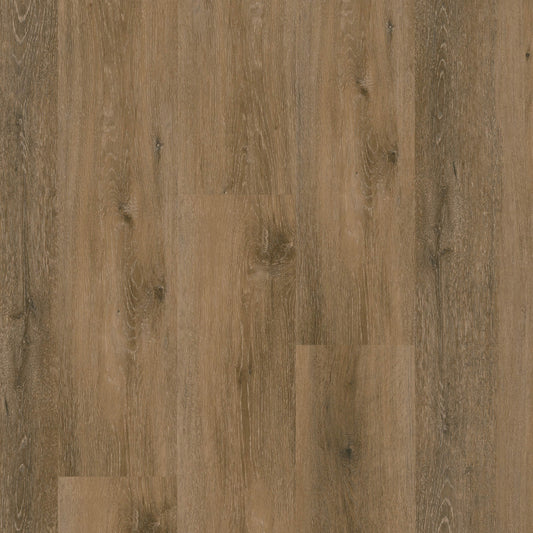 MSI - Nove Plus Collection - Hatfield - 9" x 48"