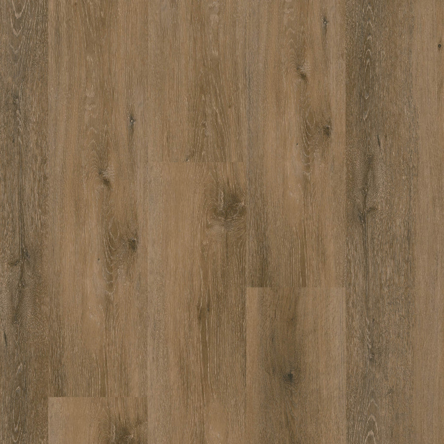 MSI - Nove Plus Collection - Hatfield - 9" x 48"