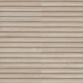MSI - SCANALATO CALACATTA  SATIN - Tile - 5" x 10"