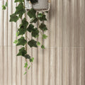 MSI - SCANALATO CALACATTA  SATIN - Tile - 5" x 10"