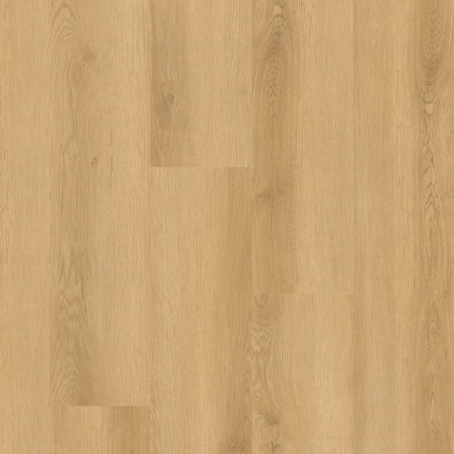 MSI - Nove Reserve Collection - Hyde Haven - 9" x 48"