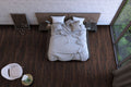 MSI Surfaces - Katavia Collection - Burnished Acacia