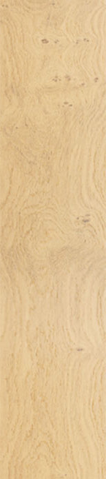 MSI - Kelmore® Collection - Sundelle - 7” x 48”