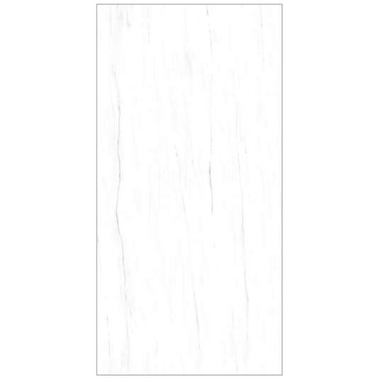 OLYMPIA TILE + STONE - Colossal Series - Porcelain Tile - Lasa - 24" x 48"