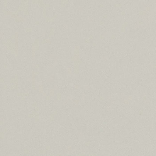 OLYMPIA TILE + STONE - Unicolour HV Series - Porcelain Tile - Light Grey - 24" x 24"