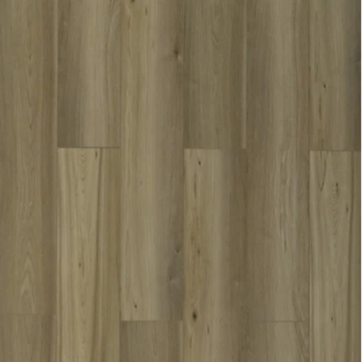 Toucan - TFSPC - 607-F - Lion