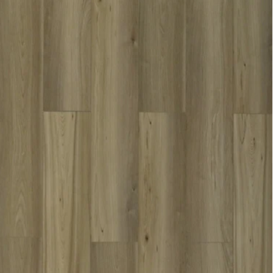 Toucan - TFSPC - 607-F - Lion