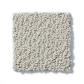Shaw Floors - Carpet- Foundations Collection - Smart Thinking - Mindful