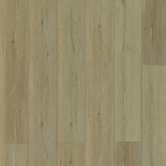 Toucan - TFSPC - 609-F - Madrid