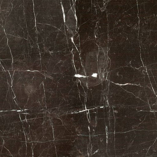 OLYMPIA TILE + STONE - Composite Series - Tile - Marble St Laurent - 24" x 24"