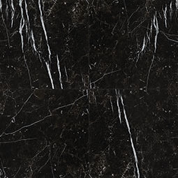 MSI - REGALLO MARQUINA NOIR  POLISHED - Tile - 24" x 24"