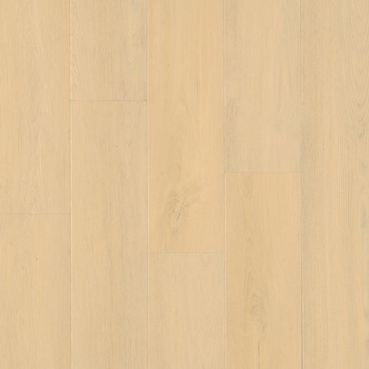 MSI - Wayne Parc™ Collection - Mellshire - 9” x 60”
