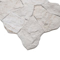 MSI - NEPTUNE MICAS  MATTE - Tile - 16" x 24"