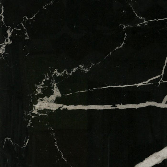 OLYMPIA TILE + STONE - Eterna Series - Porcelain Tile - Nero Marquina - 24" x 24"