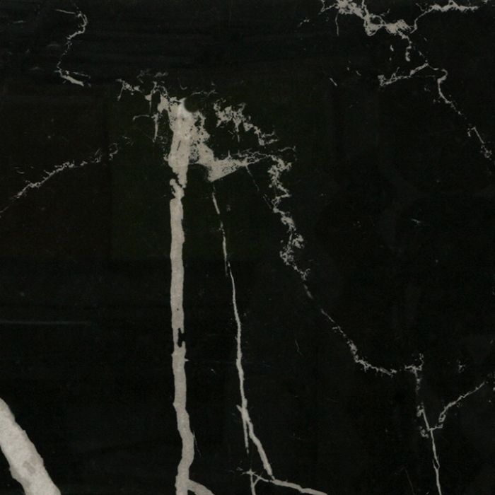OLYMPIA TILE + STONE - Eterna Series - Porcelain Tile - Nero Marquina - 24" x 24"