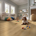 MSI - Nove Plus Collection - Hyde Haven - 9" x 48"