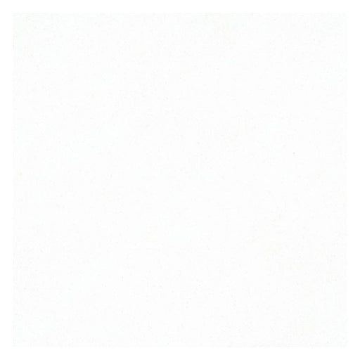 OLYMPIA TILE + STONE - Aspen Series - Tile - Quartz Super White - 24" x 24"