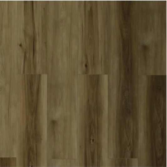 Toucan - TFSPC - 604-F - Paris