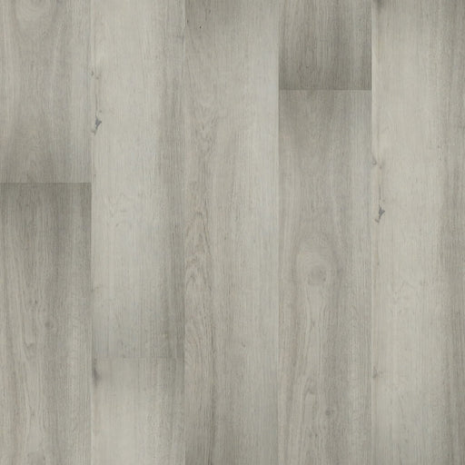 MSI Surfaces - Prescott® Collection - Brianka