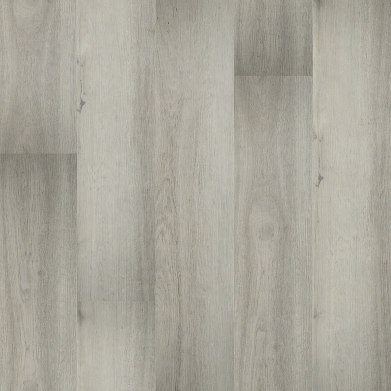 MSI Surfaces - Prescott® Collection - Brianka