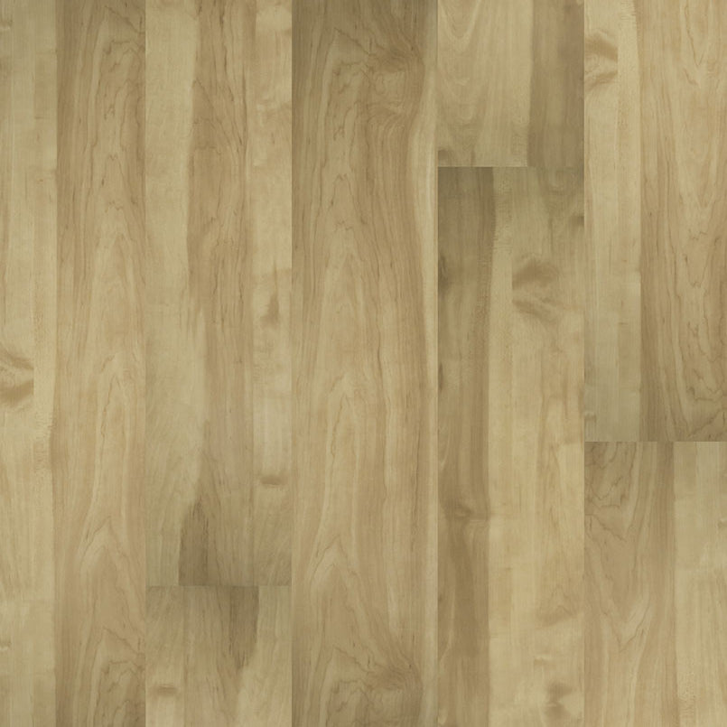 MSI Surfaces - Prescott® Collection - Brookline