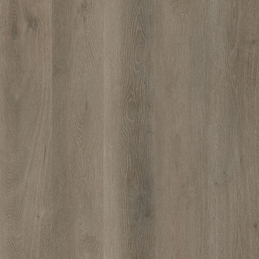MSI Surfaces - Prescott® Collection - Cranton