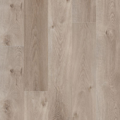 MSI Surfaces - Prescott® Collection - Whitfield Gray