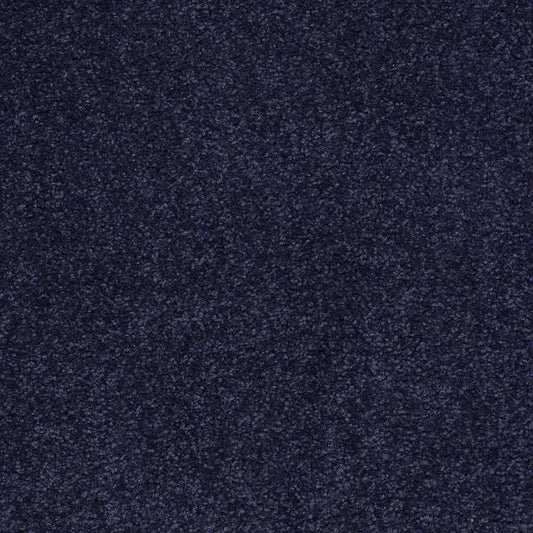 Shaw Floors - Carpet - Sandy Hollow I - 15' - Indigo
