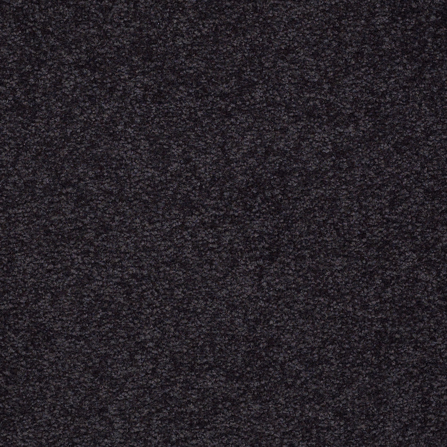 Shaw Floors - Carpet - Sandy Hollow I - 15' - Graphite