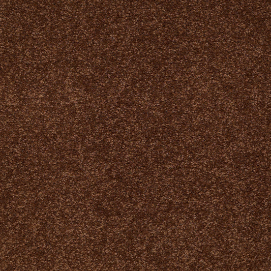 Shaw Floors - Carpet - Sandy Hollow I - 15' - Tortoise Shell