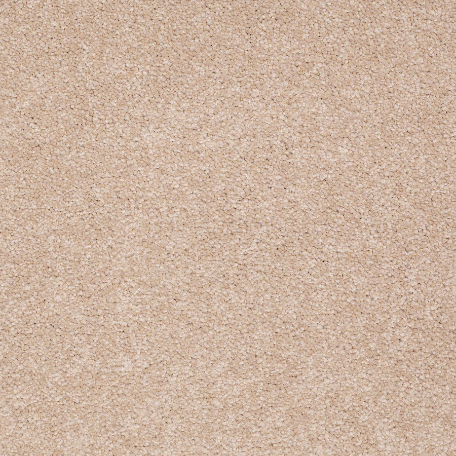 Shaw Floors - Carpet - Sandy Hollow II - 15' - Stucco