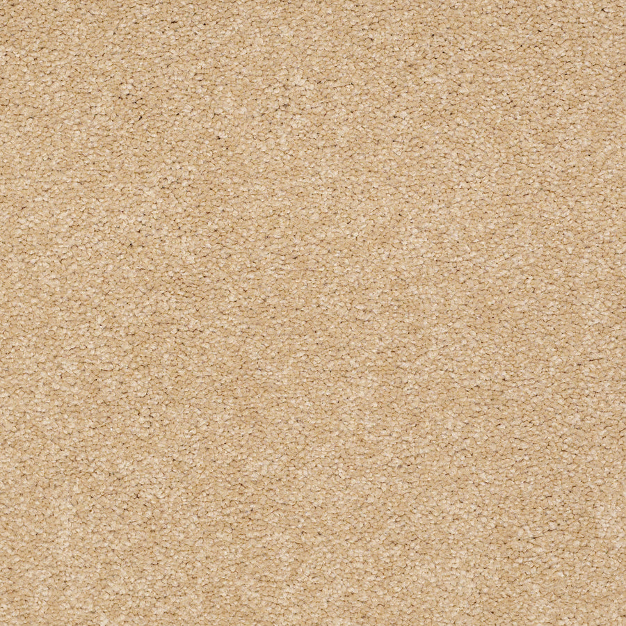Shaw Floors - Carpet - Sandy Hollow II - 15' - Cornfield