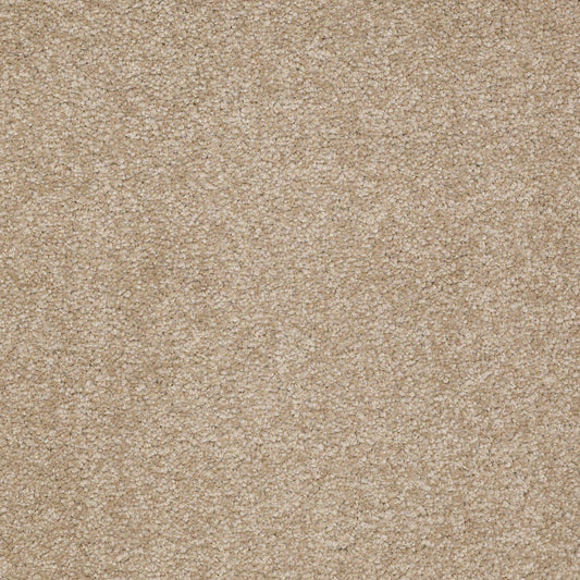 Shaw Floors - Carpet - Sandy Hollow II - 15' - Sahara