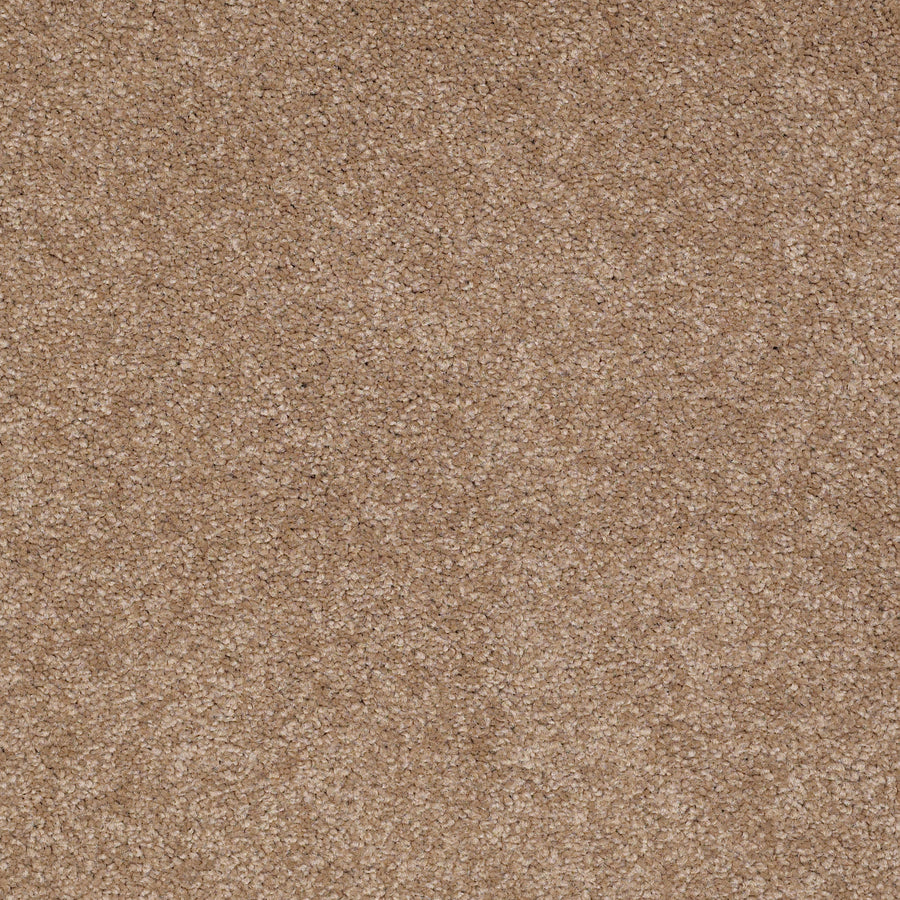 Shaw Floors - Carpet - Sandy Hollow II - 15' - Mojave