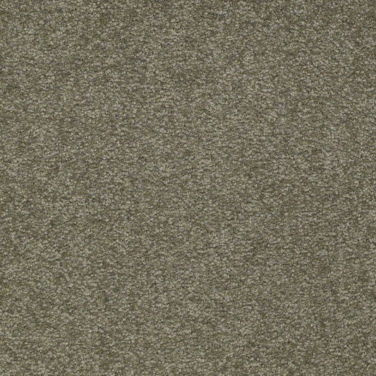 Shaw Floors - Carpet - Sandy Hollow II - 15' - Alpine Fern