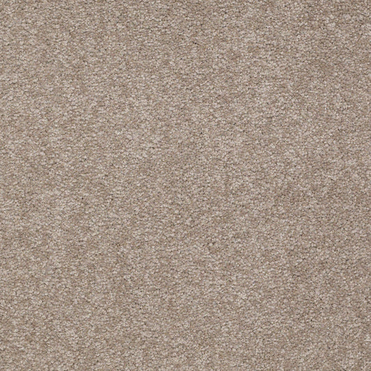 Shaw Floors - Carpet - Sandy Hollow II - 15' - Chinchilla
