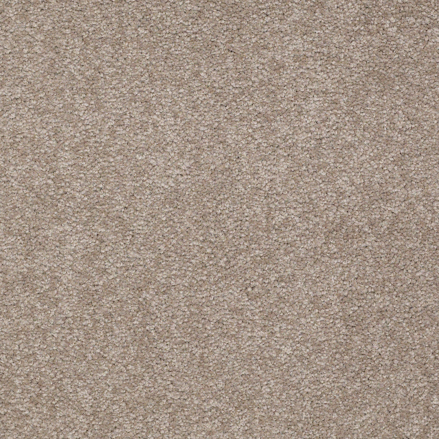 Shaw Floors - Carpet - Sandy Hollow II - 15' - Chinchilla