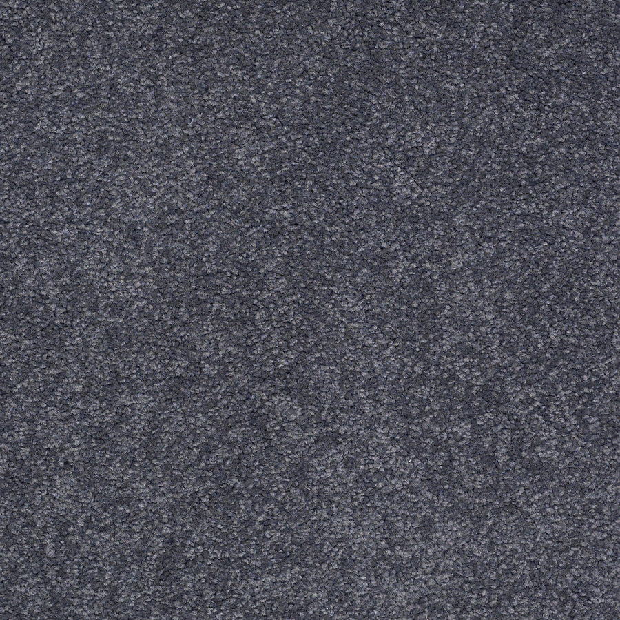 Shaw Floors - Carpet - Sandy Hollow II - 15' - Cadet