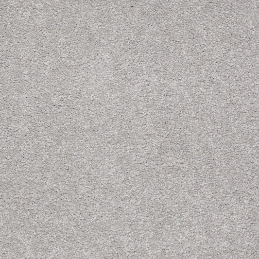 Shaw Floors - Carpet - Sandy Hollow II - 15' - Silver Charm